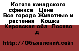 Котята канадского сфинкса › Цена ­ 15 - Все города Животные и растения » Кошки   . Кировская обл.,Лосево д.